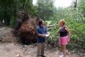 Woodville, MS, September 6, 2008 -- FEMA PDA Specialist Henry Leong is shown one of the trees toppled by Hurricane Gustav by Jenny Angeline, estat...