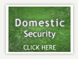 Domestic Security Link