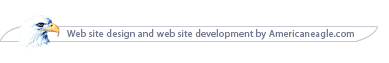 Web site design and web site development by Americaneagle.com