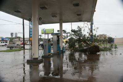 Brownsville, TX, July 23, 2008 -- A downed tree blocks a lane in a local gas station. Most all gas stations have closed. Hurricane Dolly crossed S...