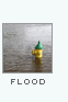 Flood