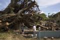 Dania Beach, Broward County, FL, 8-28-05 --  Hurricane Winds from Katrina knocked over huge tree crushing this home.   Joann & Orland Douglas poin...