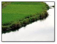 Picture of a waterway.