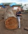 Angie, LA  November 15, 2005 - FEMA Public Information Officer Anita Westervelt was stands next to the huge Oak tree that crushed the roof of Angi...