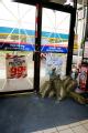 Harlingen,TX, July 23, 2008 -- Small business owners, as with this gas station along Texas St Rd 83, are prepared for Hurricane Dolly and possible...