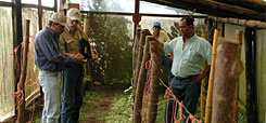 Winrock volunteer Martin Connaughton, a recipient of the President's Volunteer Service Award, helps El Salvador farmers build affordable greenhouses and trains them in agricultural advancements.