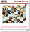 Image of the Picture Puzzle game