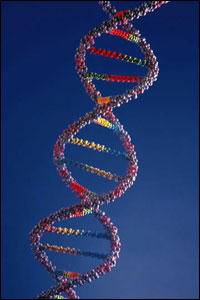Graphic: DNA