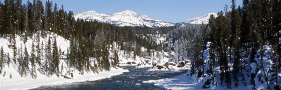 Yellowstone River