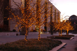 Holiday lights at the National Museum of American History