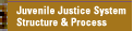 Juvenile Justice System Structure & Process
