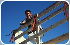 A teenage boy is perched on a corral fence.