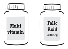illustration of a multivitamin and folic acid bottle