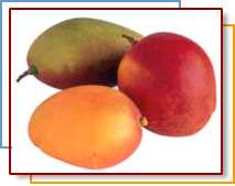 Photo of mangos