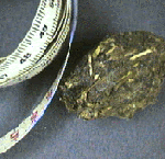 Picture of tape measure