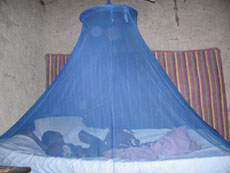 Photo of a family sleeping under an insecticide-treated mosquito net in the Rufiji District of Tanzania.
