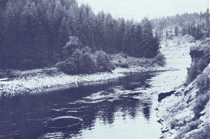 pre-project view of the North Fork Clearwater River