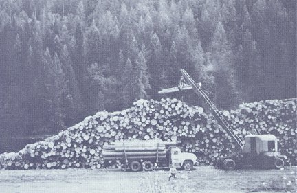 A former event--logs being placed on the river bank in anticipation of the log drive to come with high spring flows on the North Fork. Logging operations removed large quantities of lumber from the river basin in this manner in years past.