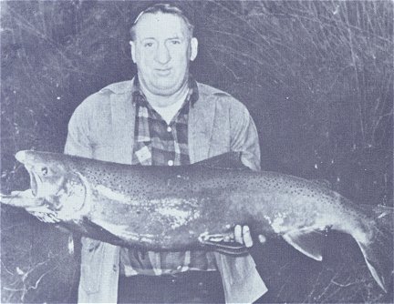 The former Idaho state record steelhead was caught in the now inundated portion of the North Fork of the Clearwater.  The fish weighed 29 lb. 8 oz.  The new record is a Dworshak Hatchery Fish caught in 1973 in the Lower Clearwater.