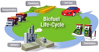 photo of the biofuel cycle, from feedstock to end user