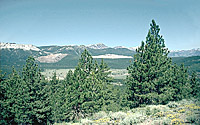 Glass Creek Flow, Long Valley Caldera, California