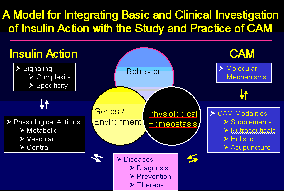 Illustration of the model of integrating basic and clinical investigation of insulin action with the study and practice of CAM.  Refer to illustration caption for a detailed description of the model