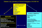 Diabetes Unit, Laboratory of Clinical Investigation, NCCAM, NIH--Thumbnail of Powerpoint Slide