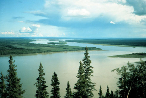Aerial view of the confluence of Yukon and Tanana Rivers. Photo Credit: USFWS