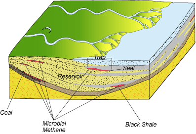 Stage 2 Illustration: The microbial methane may remain in the organic-rich layer or it may bubble up into the overlying sediment layers and escape into the ocean waters or atmosphere.  If impermeable sediment layers, called seals, hinder the upward migration of microbial gas, the gas may collect in underlying porous sediments, called reservoirs.