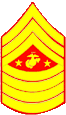 Sergeant Major Rank logo.