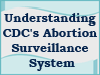This podcast provides a summary of CDC's Abortion Surveillance System activities. 
It is the one of two podcasts on the topic.  Additional information on CDC's Abortion Surveillance System is available at www.cdc.gov/reproductivehealth.