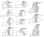 Appendix Figure.