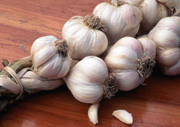 Garlic. © Steven Foster