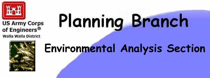 planning branch logo, a stylized red castle with the following text below: US Army Corps of Engineers, Walla Walla District -- Walla 
Walla District Anandromous Fish Evaluation Program with image of Salmon Smolt