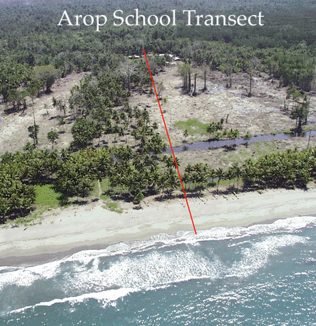 Arop Transect