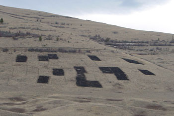 Research plots are burned at the National Bison Range to evaluate the effects of fire in controlling invasive plants. (USFWS)