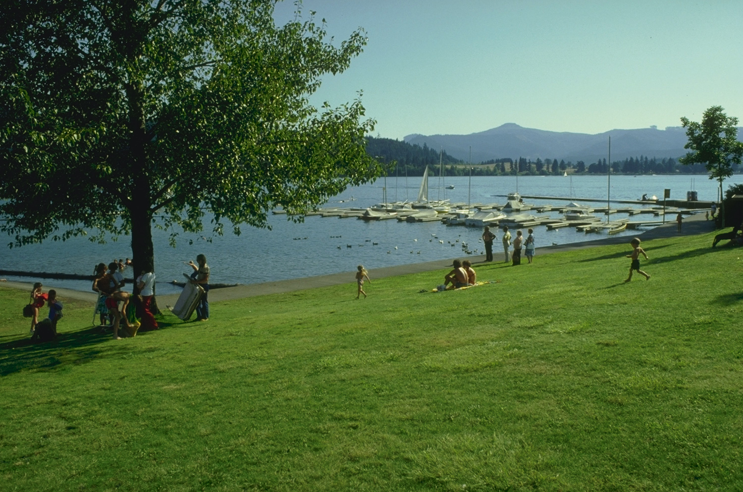 View of lake, shoreline and marina