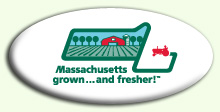 Massachusetts grown - and fresher!