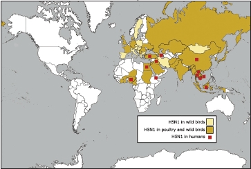 World map showing nations with confirmed cases of H5N1 avian influenza