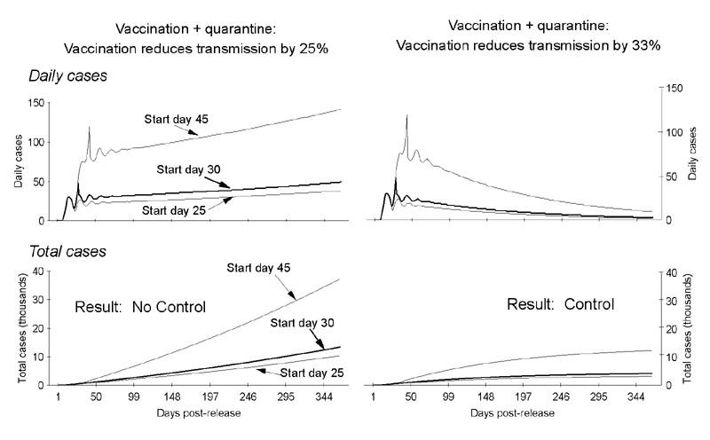 Figure 6. Daily and total cases of smallpox after a combined quarantine (25% daily removal rate) and vaccination campaign for two vaccine-induced reductions in transmission and three postrelease start dates. The graphs show that, when combined with a daily quarantine rate of 25%, vaccination must achieve a >33% reduction in transmission to stop the outbreak. At a 25% daily removal rate of infectious persons by quarantine, a cohort of all those entering their first day of overt symptoms (i.e., rash) is entirely removed within 17 days (18 to 20 days after incubation) after the first day of overt symptoms, with 90% removed within 9 days. Removal is assumed to start same day as vaccinations. The daily rate of removal by quarantine relates only to the removal of those who are infectious (i.e., are overtly symptomatic). The rate does not include any persons who may be quarantined along with overtly symptomatic patients, such as unvaccinated household contacts. Vaccinating contacts or potential contacts is assumed to result in 25% and 33% reductions in transmission, so that the transmission rate is reduced from 3 to 2.25 and 2 persons infected per infectious person, respectively. Data were generated by assuming 100 initially infected persons and an initial transmission rate of 3 persons infected per infectious person. For clarity, the graphs of daily cases do not include the assumed 100 initially infected persons. The graphs of total cases include those initially infected.