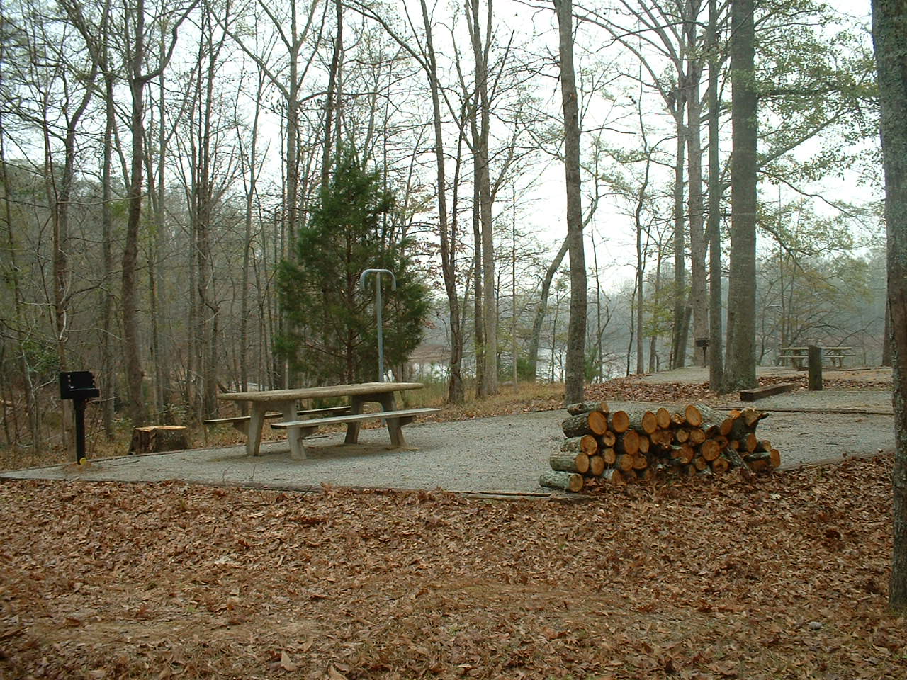 Forkland Campsite