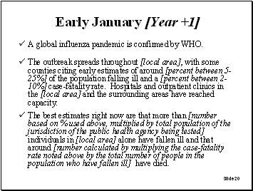 Slide 20: Early January [Year+1]