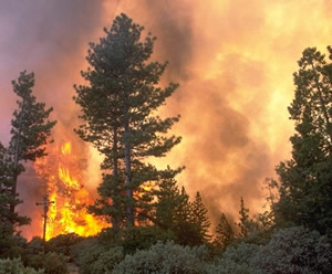 A wildfire blazes out of control.