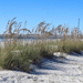 Folly Beach Named One of 2007's Top Restored Beaches