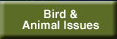 Birds & Animals