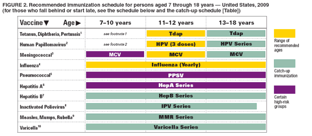 FIGURE 2. Recommended immunization schedule for persons aged 7 through 18 years — United States, 2009
(for those who fall behind or start late, see the schedule below and the catch-up schedule [Table])