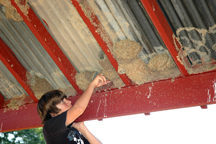 Carson Stone checks a swallows nests built on the ranch.