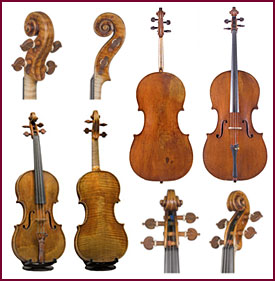 Collage image of stringed instruments