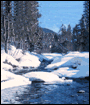 Photo of snow melting into mountain stream.