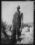Tall man in overalls standing in a field